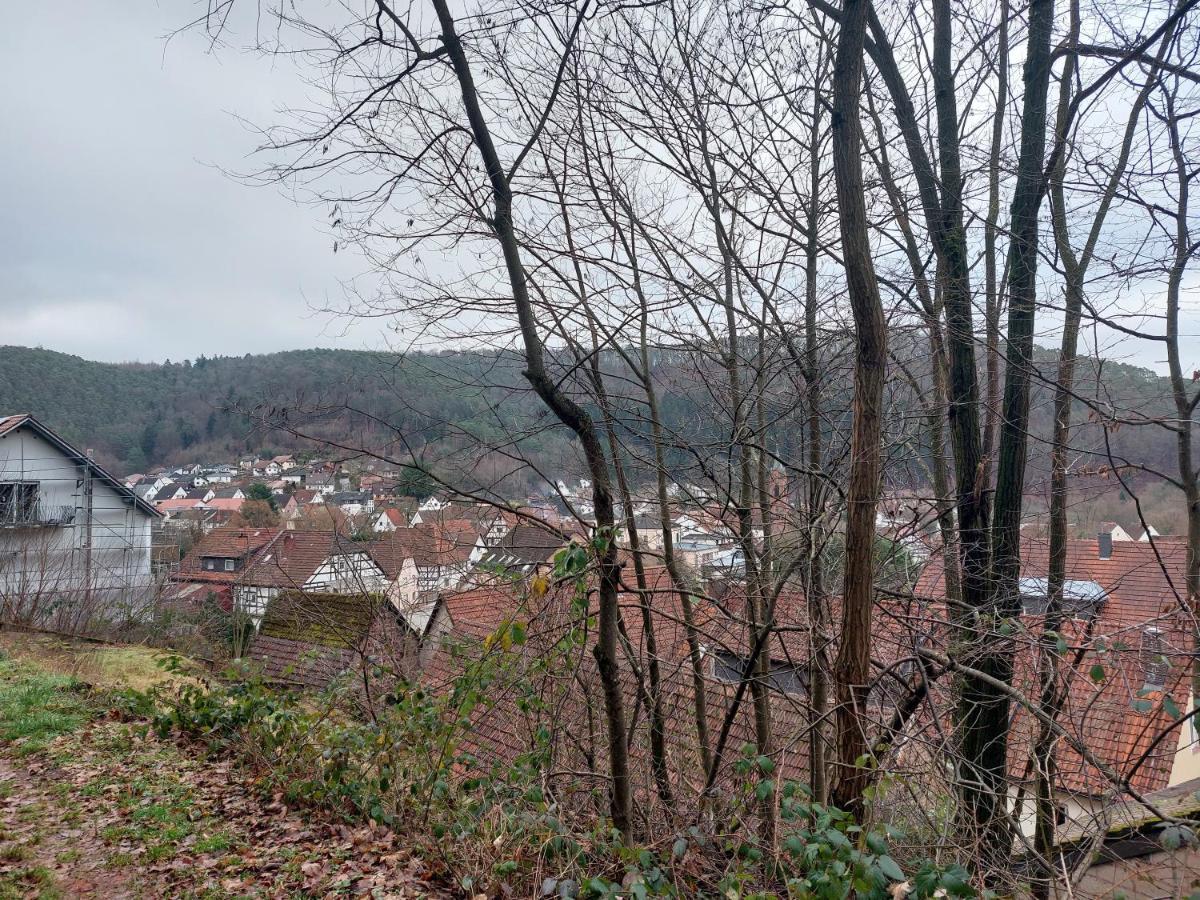 Ferienwohnung Unterm Rappenfels Hinterweidenthal Dış mekan fotoğraf